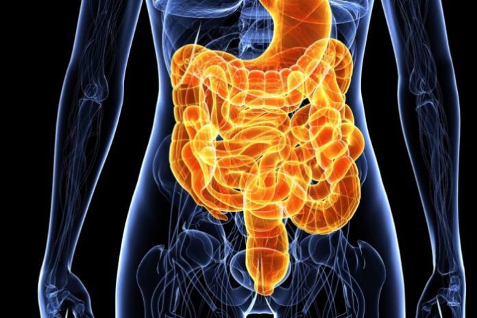 stomach-digestion