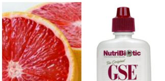 GSE frá Nutribiotic
